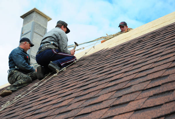 Best Tile Roofing Contractor  in Hurlock, MD