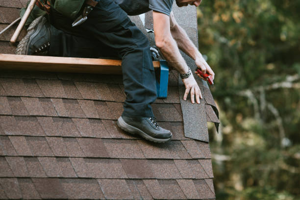 Best Sealant for Roof  in Hurlock, MD